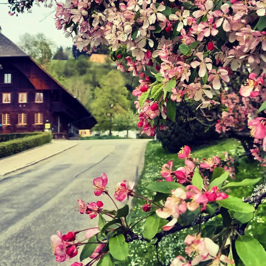 Emme Lodge Лангнау Екстериор снимка