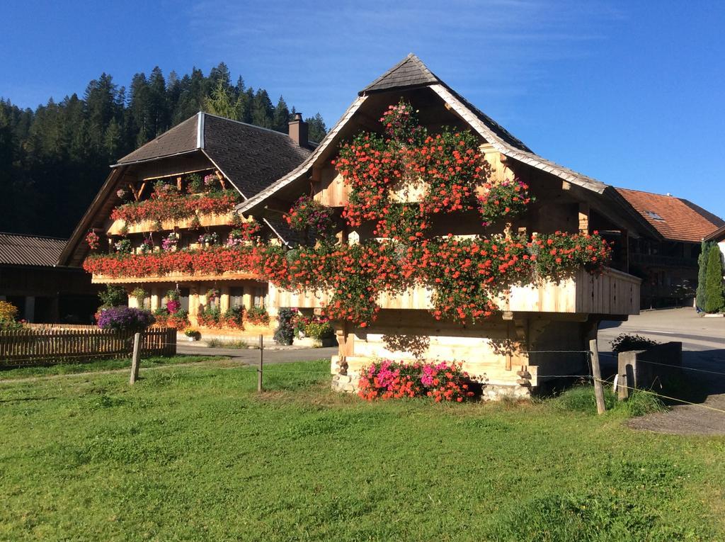 Emme Lodge Лангнау Екстериор снимка