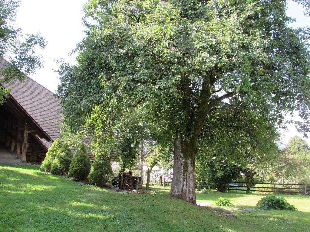 Emme Lodge Лангнау Екстериор снимка